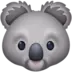 Koalakopf