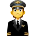 Pilot(in)