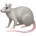 Ratte