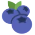 Blueberries