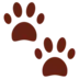 Paw Prints