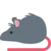 Rat