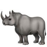 Rhinoceros on Apple