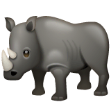 Rhinoceros on WhatsApp