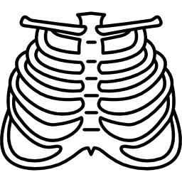 Human Ribs - Free medical icons