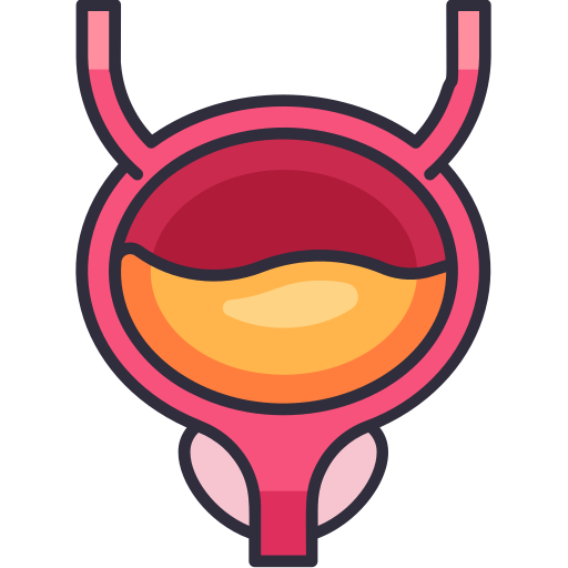 Bladder Generic Outline Color icon