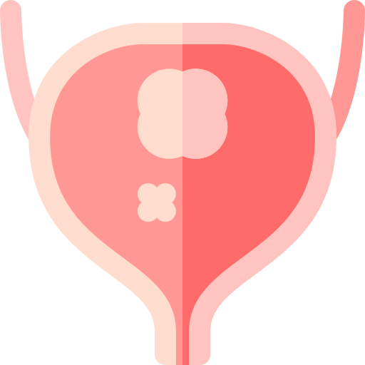 Bladder Basic Rounded Flat icon