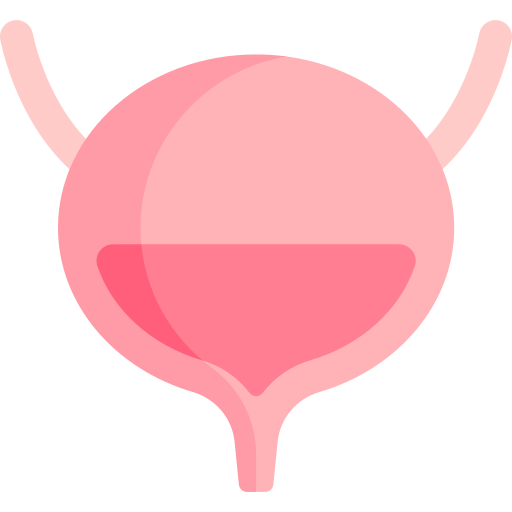 Bladder Special Flat icon