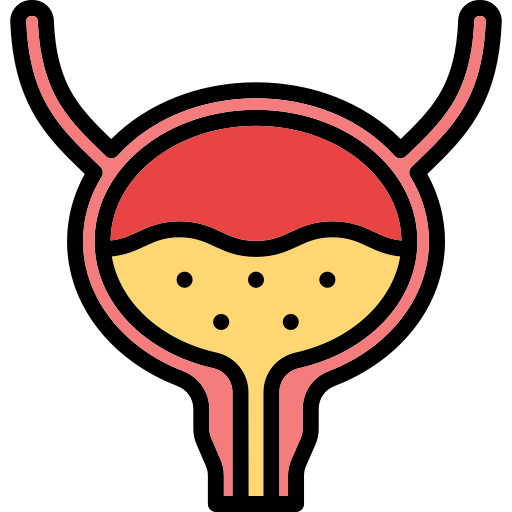 Bladder Generic Outline Color icon