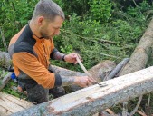 Les sangliers du Haut-Doubs sont-ils voués à disparaître ?