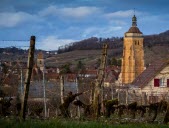 Découvrez le village d’Arbois sous toutes ses facettes