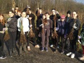 Des collégiens plantent une haie bocagère