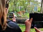 Au parc zoologique de Saint-Martin-la-Plaine, l’été démarre en février