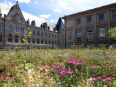 Le Théâtre national de Strasbourg en transition énergétique