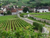 La route des grands crus