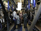 Des jeunes de la Mission locale à la ferme : de futurs agriculteurs ?