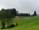 Jura et Doubs premier et troisième départements les plus verts de France