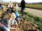 Transition écologique et agriculture : une haie plantée au Jardin Fleurinois