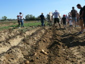 La pomme de terre en fête revient ce dimanche 1er septembre