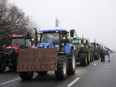 De retour de Rungis, les agriculteurs du Sud-Ouest accueillis en « héros » 