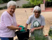 Elles entretiennent des jardinières bénévolement