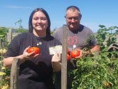 Les tomates de Justine, le retour