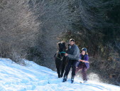 Le ski-joëring, tracté comme jamais