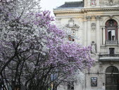 C’est arrivé un 1er avril 1871 : l’incendie duquel renaît le théâtre des Célestins