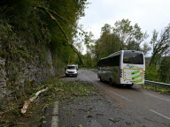 Des rafales de vent de plus en plus fortes : le Jura placé en alerte jaune