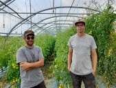 « De bonnes récoltes » : la ferme municipale de Chaponost met les bouchées doubles pour fournir la cantine scolaire