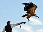 Ballet de rapaces