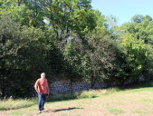 « Je refuse qu’on détruise ces 6 000 m² d’arbres »