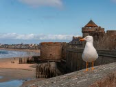 Saint-Malo : une cité bretonne pas comme les autres