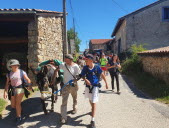 10 jeunes de la MJC ont randonné pendant une semaine avec deux ânes