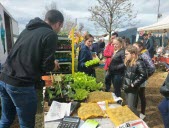 Foire de Beauvallon : dans la gadoue mais toujours aussi conviviale