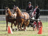 Quarante équipages pour un concours national d’attelage, ce week-end à Jullianges