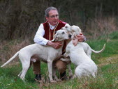 100 % comtois, le chien porcelaine est solide comme le roc