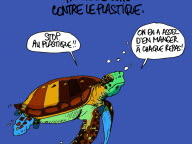 Le dessin du jour