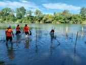 Zone humide : la restauration de l’île de Montmerle se poursuit