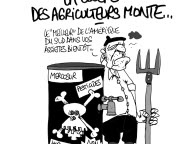 Le dessin du jour