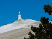 Mont Ventoux : « En regardant de très près, ça pousse déjà »