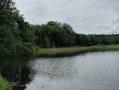 Une journée nature autour du lac de Viremont