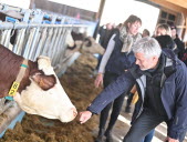 Laurent Wauquiez laboure l’électorat agricole en Haute-Loire