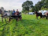 Les attelages de Cheval Dombes en randonnée dans la commune