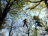 S’amuser dans les arbres