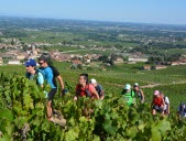 La fournaise du Beaujolais mais des sourires