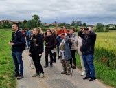 Ces oiseaux menacés de disparition sur le plateau mornantais