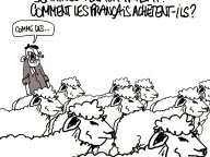 Le dessin du jour