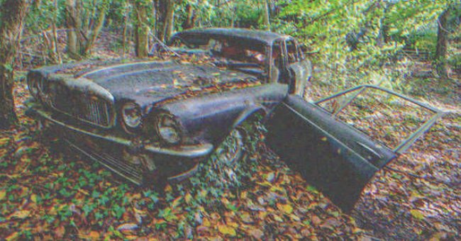 An abandoned and ruined car in the woods | Source: Shutterstock