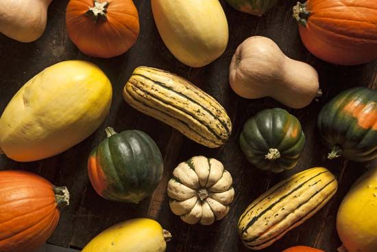 winter squash